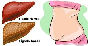 Representação visual de um fígado saudável e o processo de desinflamação hepática